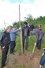 HÜSEYİN İNAN - 3 Fidan İçin 3 Fidan Diktiler