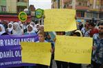 ADLİYE BİNASI - Cizre'de Tecavüz Protestosu