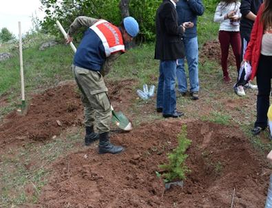 Jandarma Bin 500 Fidan Dikti