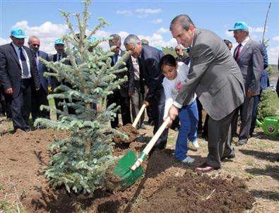 Yozgat Spor Vadisine 93 Bin Fidan Dikildi