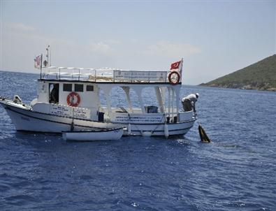 64 Yaşında Deniz Dibinde Temizlik Yaptı