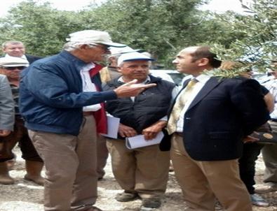 Didim’de 'zeytin Çiftçi Tarla Okulu Projesi Eğitim Toplantısı' Yapıldı