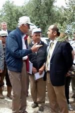 İSMAIL EFE - Didim’de 'zeytin Çiftçi Tarla Okulu Projesi Eğitim Toplantısı' Yapıldı