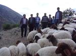 ET BALIK KURUMU - Koyun ve Keçi Yetiştiricileri Sahada Bilgilendirildi