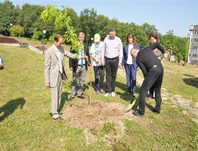 Omü’de Vefat Eden Öğretmenlerin Anısına Fidan Dikildi