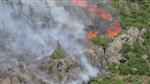 NARLıCA - Hatay’da Orman Yangını