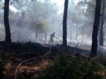 KARAAĞAÇ KÖYÜ - Uşak’ta Orman Yangını Büyümeden Söndürüldü