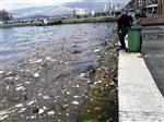 NAYLON POŞET - Derelere Atılan Çöp İzmir Körfezi’ne Gidiyor