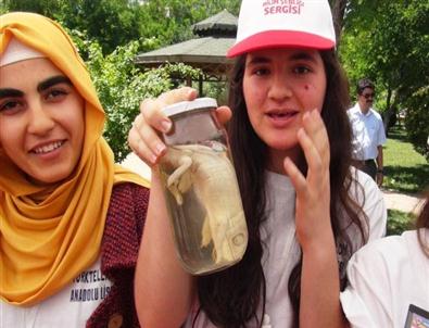 Batman’da Bilim Şenliği Düzenlendi