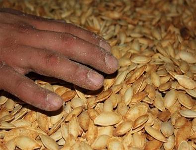 Meşhur Nevşehir Kabak Çekirdeği ‘nevşehir Hanım Tırnağı’ İsmiyle Coğrafi İşaret Alıyor