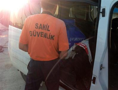 Mersin'de Akaryakıt Kaçakçılığı