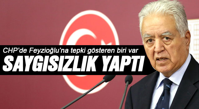 Metin Feyzioğlu'ndan CHP'li Loğoğlu'na yanıt