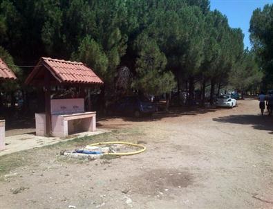 Didim Belediyesi, Orman Kampına Sahip Çıktı