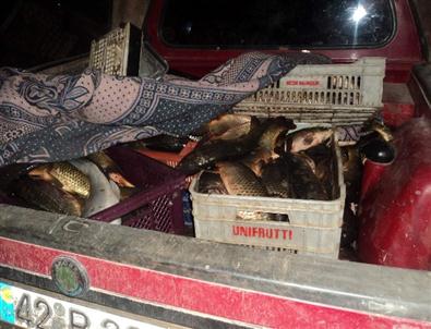 Kaçak Balık Avı Jandarmanın Engeline Takıldı