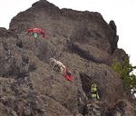 Akut'tan Keçi Kurtarma Operasyonu