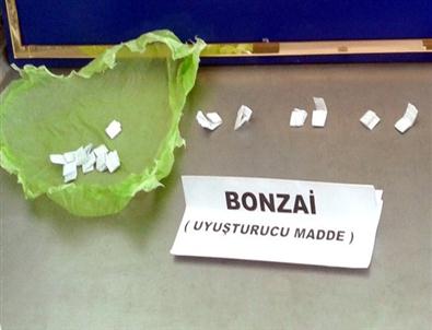 Jandarma’dan 'bonzai'Operasyonu