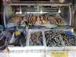 BARBUNYA - Tezgahlarda Çiftlik Balıkları Yoğunlukta