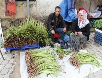 Kabalak Satarak Çocuklarını Okutuyorlar