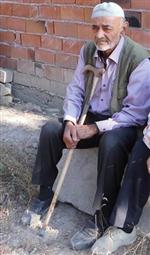 Kulağından Arı Soktu Öldü