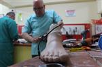 PROTEZ BACAK - (özel Haber) Kuzey İrak Gazisine Elektronikli Protez Bacak