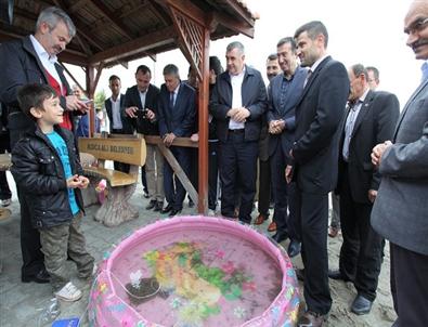 Başkan Toçoğlu Kalkan Şenliğine Katıldı