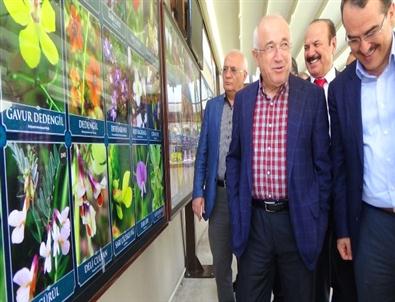 Tbmm Başkanı Cemil Çiçek ve Msb Bakanı İsmet Yılmaz Hatay’da