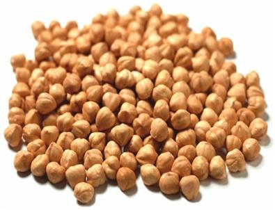 Ordu Organik Fındık Üretiminde De Lider