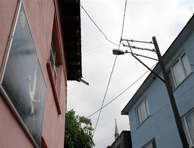 (özel Haber) Leyleklerin Ölmemesi İçin Özel Önlem