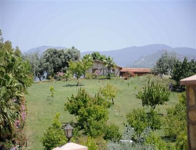 Ünlülerin Çiftliklerine Dadanan Hırsızlarından Biri Yakalandı