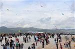 UÇURTMA ŞENLİĞİ - Kırşehir'de Uçurtma Şenliği