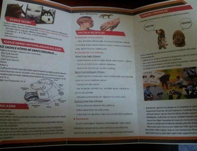 Arpaçay’da Kedi ve Köpeklere Kuduz Aşısı Yapılıyor