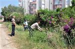 ÇEŞMELI - Erdemli Belediyesi Çeşmeli Mahallesinde Çalışmalarını Sürdürüyor