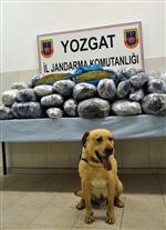 SEKILI - Yozgat Jandarması 115 Kilo Esrar Ele Geçirdi