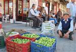 Aydın’da İlek Pazarları Kuruldu