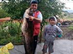 KOCAAVŞAR - Derede Boyu Kadar Balık Yakaladı