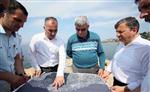 İSMAIL YıLDıRıM - Dereköy Sahilinde Düzenleme Yapılacak