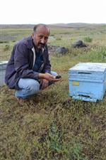 KıZıK - Arıcıların Başı Hırsızlarla Dertte