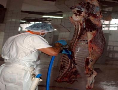 Et Fiyatlarını Düşürmek İçin İrk Dönüşümü Şart