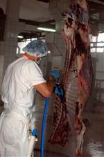 Et Fiyatlarını Düşürmek İçin İrk Dönüşümü Şart