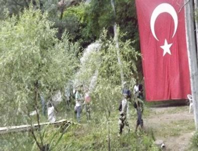 Gürleyik Su Festivali