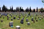 MEZAR TAŞLARı - Fotoğraflı, Süslemeli ve Abartılı Mezar Taşları
