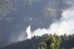 GEZİ PARKI - Samsun'da Orman Yangını Söndürülemiyor