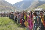 MAHMUR KAMPı - 2. Ehmede Hani Yayla Festivali Büyük İlgi Gördü