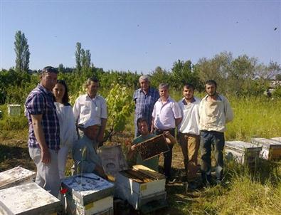 Arıcılara Zehir Engeli