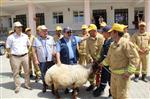 ÖZ ORMAN İŞ SENDIKASı - Koç Ödüllü Yangını Tatbikatı