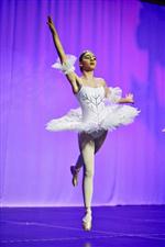 Fındıkkıran Balesi Gazianteplileri Büyüledi