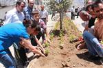 Hakkari Belediyesinden Yeşillendirme Çalışması