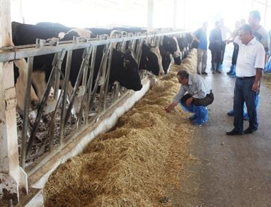 Kayseri Şeker Çiftçilerine, Pandoğa Tesislerinde İnceleme Gezisi Düzenlendi