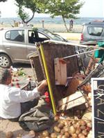 Kontrolden Çıkan Otomobil Seyyar Pazar Arabasına Çarptı