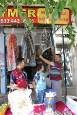 Kurutmalıklar Piyasada